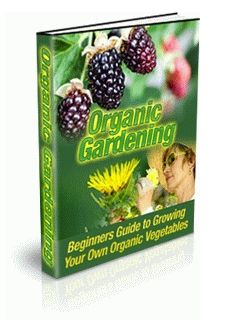 Organic Gardening